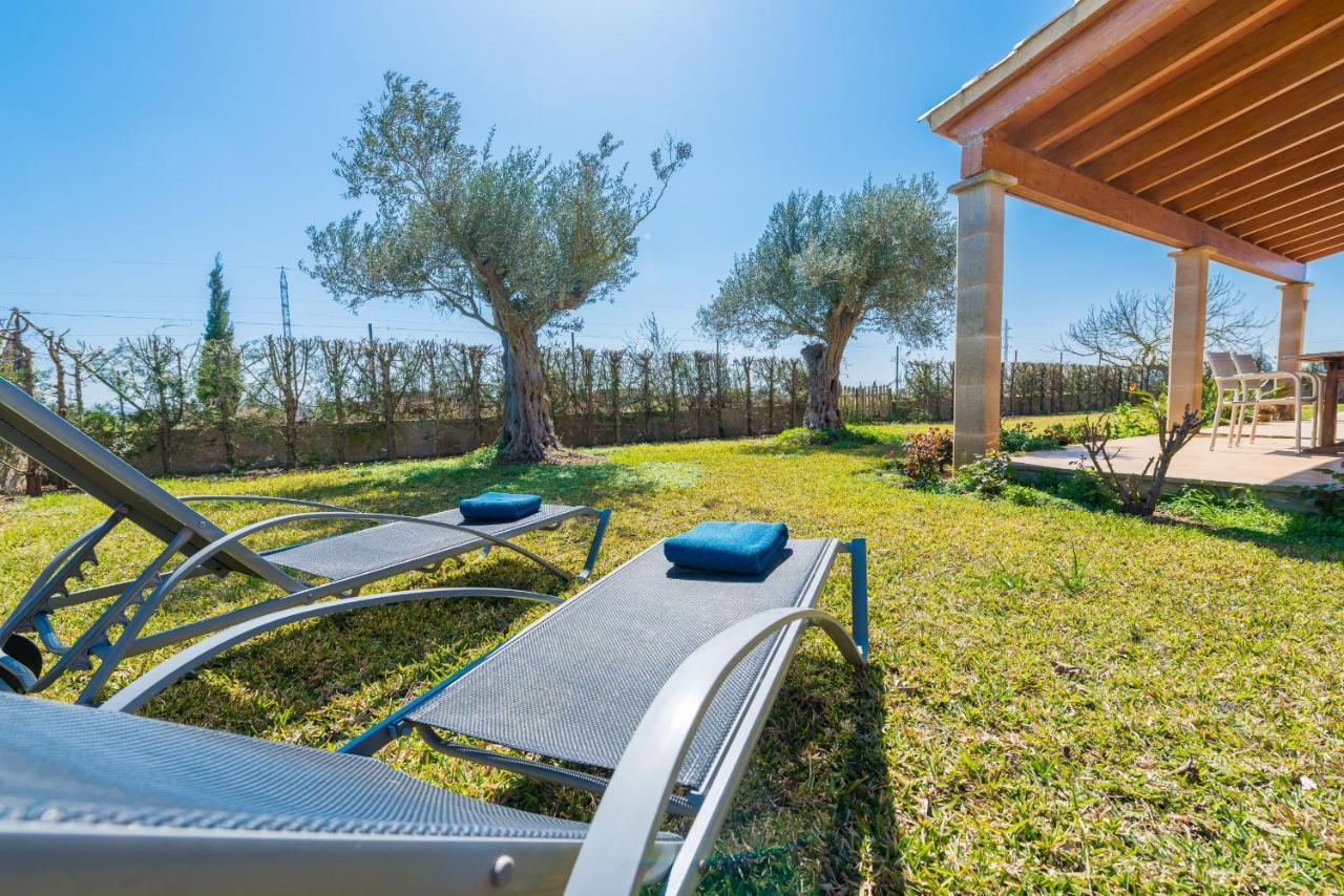Country house Yourhouse Son Gallina Quiet, Private In The North Of Mallorca